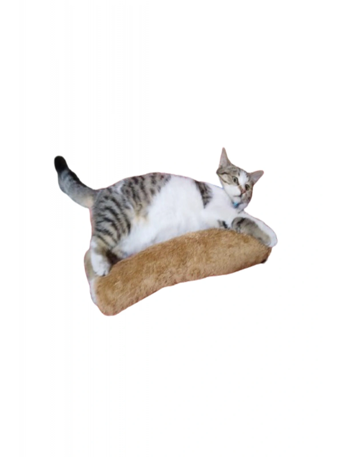 Kedi Oyuncağı Sarılma Yastığı Uyku Oyuncağı Kedi Otlu 30 Cm Peluş ( 1 Adet ) KAHVERENGİ