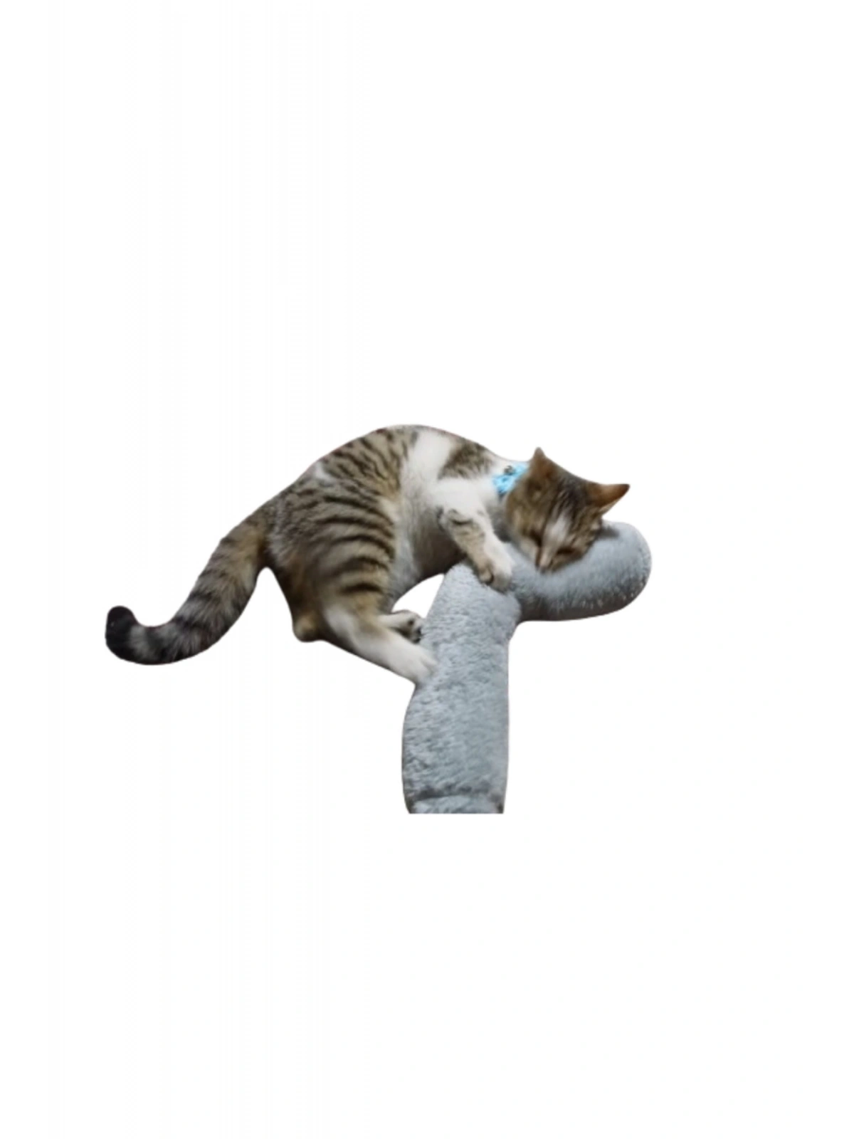 Kedi Oyuncağı Sarılma Yastığı Uyku Oyuncağı Kedi Otlu 30 Cm Peluş ( 1 Adet ) GRİ