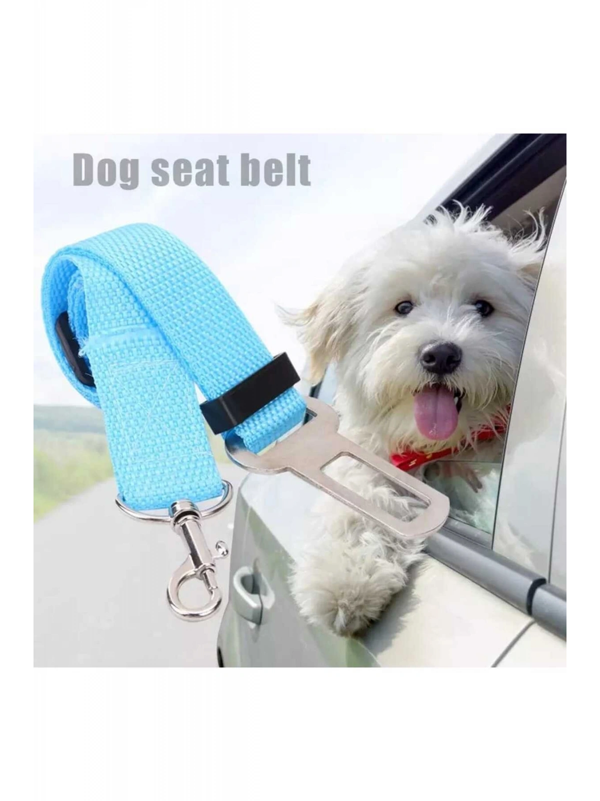 Evcil Hayvan Araç Emniyet Kemeri Kedi Köpek Araba Oto Tasması Oto Aksesuarları  TURKUAZ