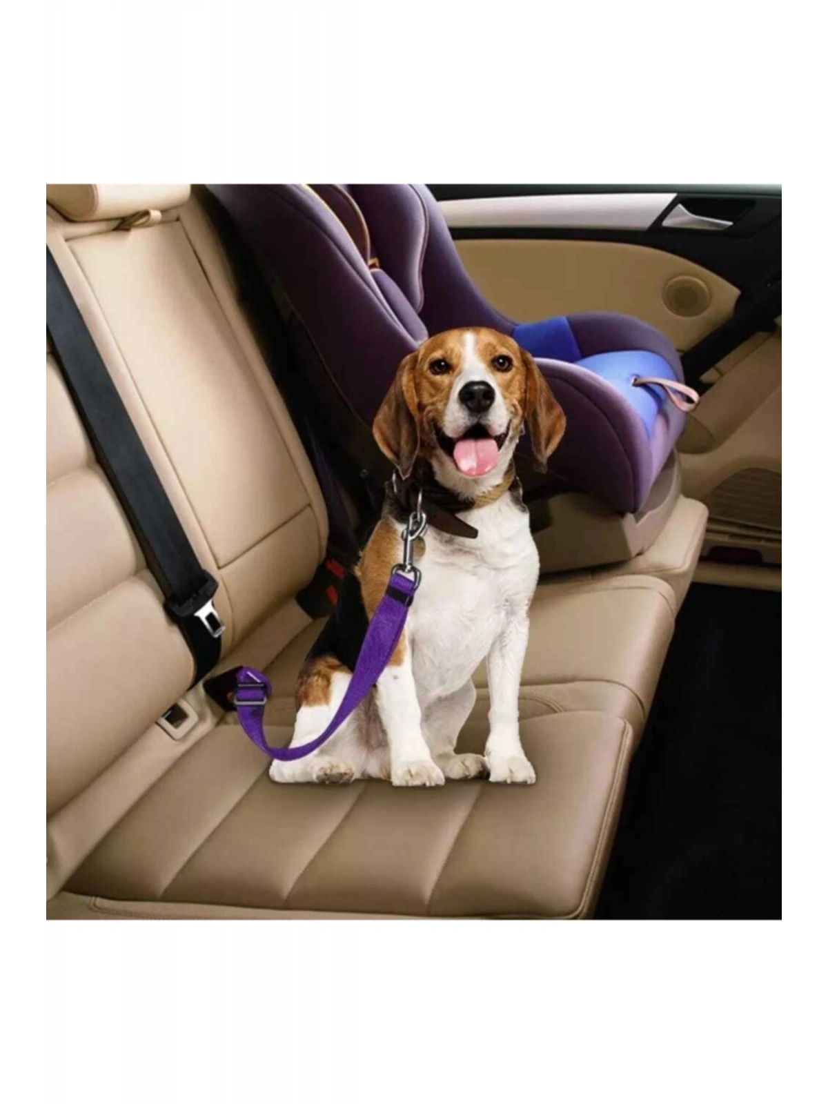 Evcil Hayvan Araç Emniyet Kemeri Kedi Köpek Araba Oto Tasması Oto Aksesuarları Mor