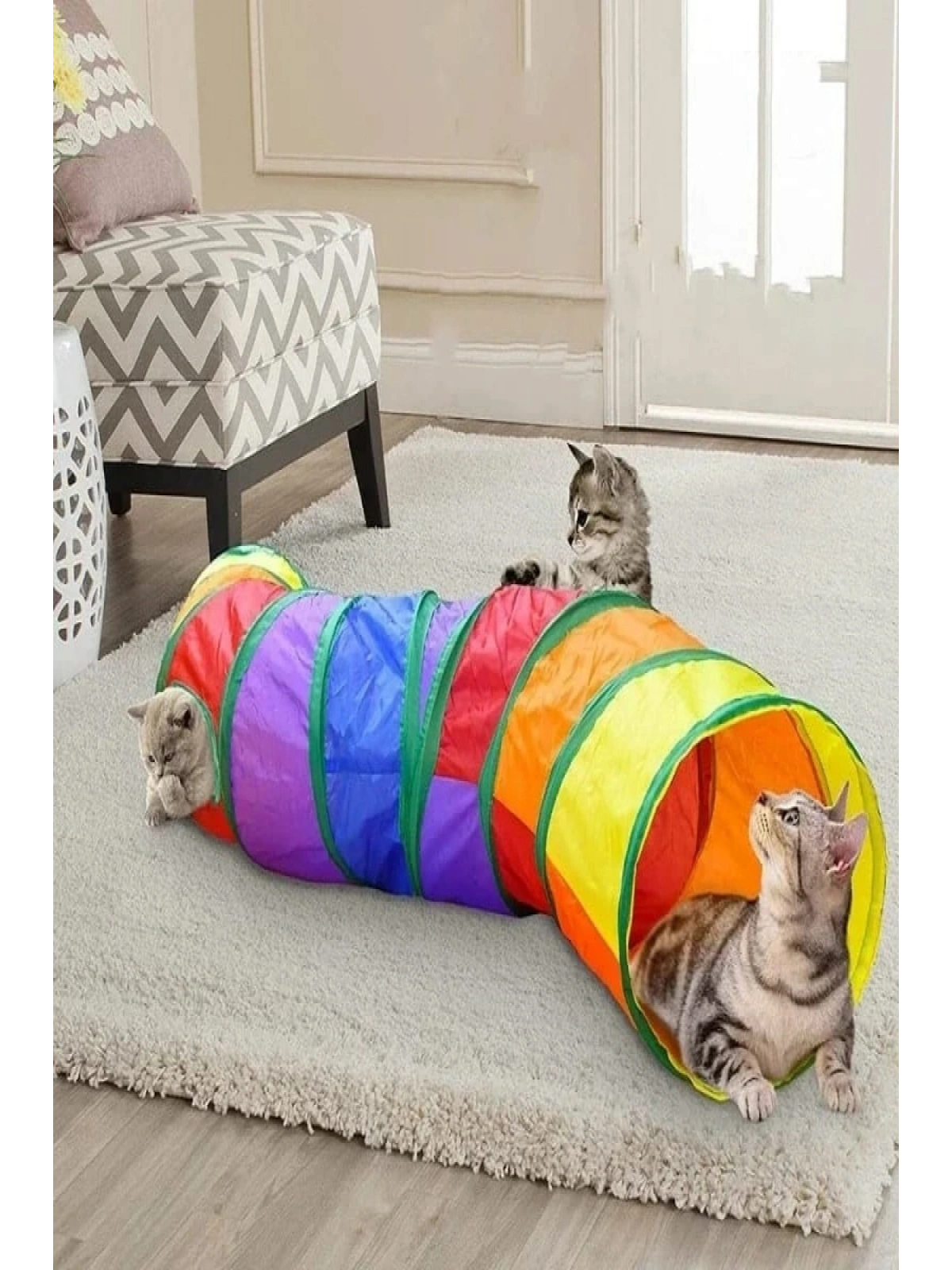 Kıvrımlı Kedi Tüneli Katlanır Gökkuşağı Uzun Kedi Köpek Oyun Tüneli Evcil Hayvan Oyun Tüneli