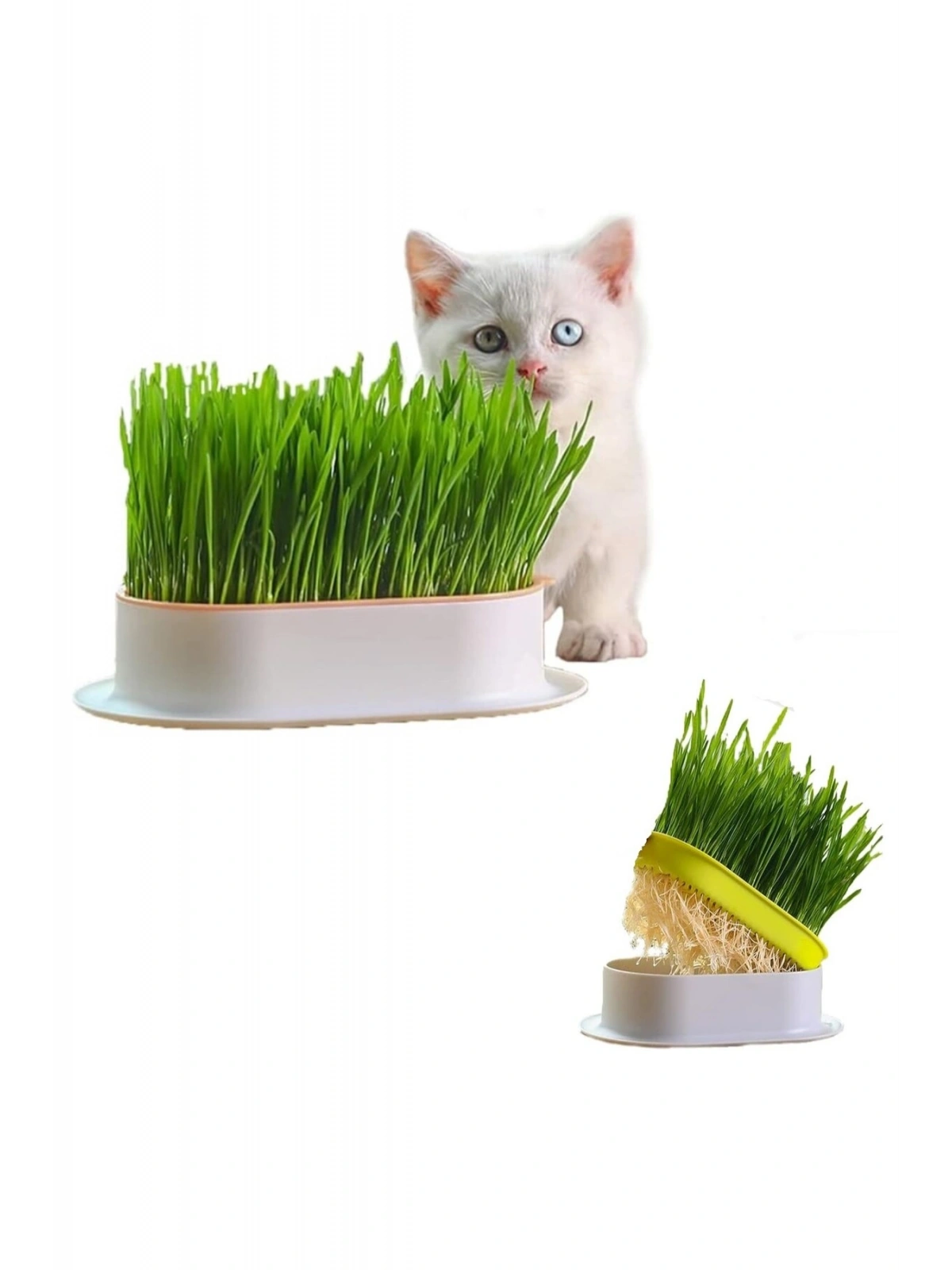 Özel Plastik Kâseli %100 Doğal Fileli Kedi Çimi (tüy Yumağı Önleyici)