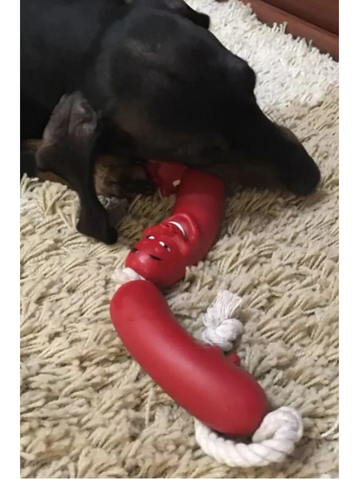 Sosis Köpekler İçin Oyuncak Köpek Oyuncağı