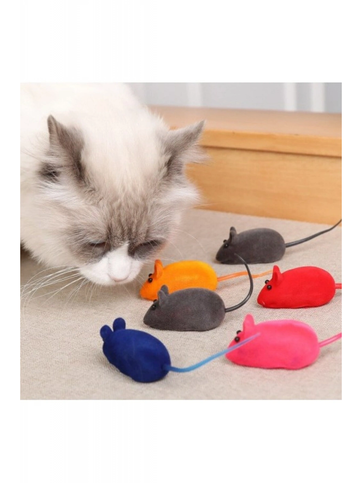 4 Adet Kedi Eğitim Oyun Faresi Sesli