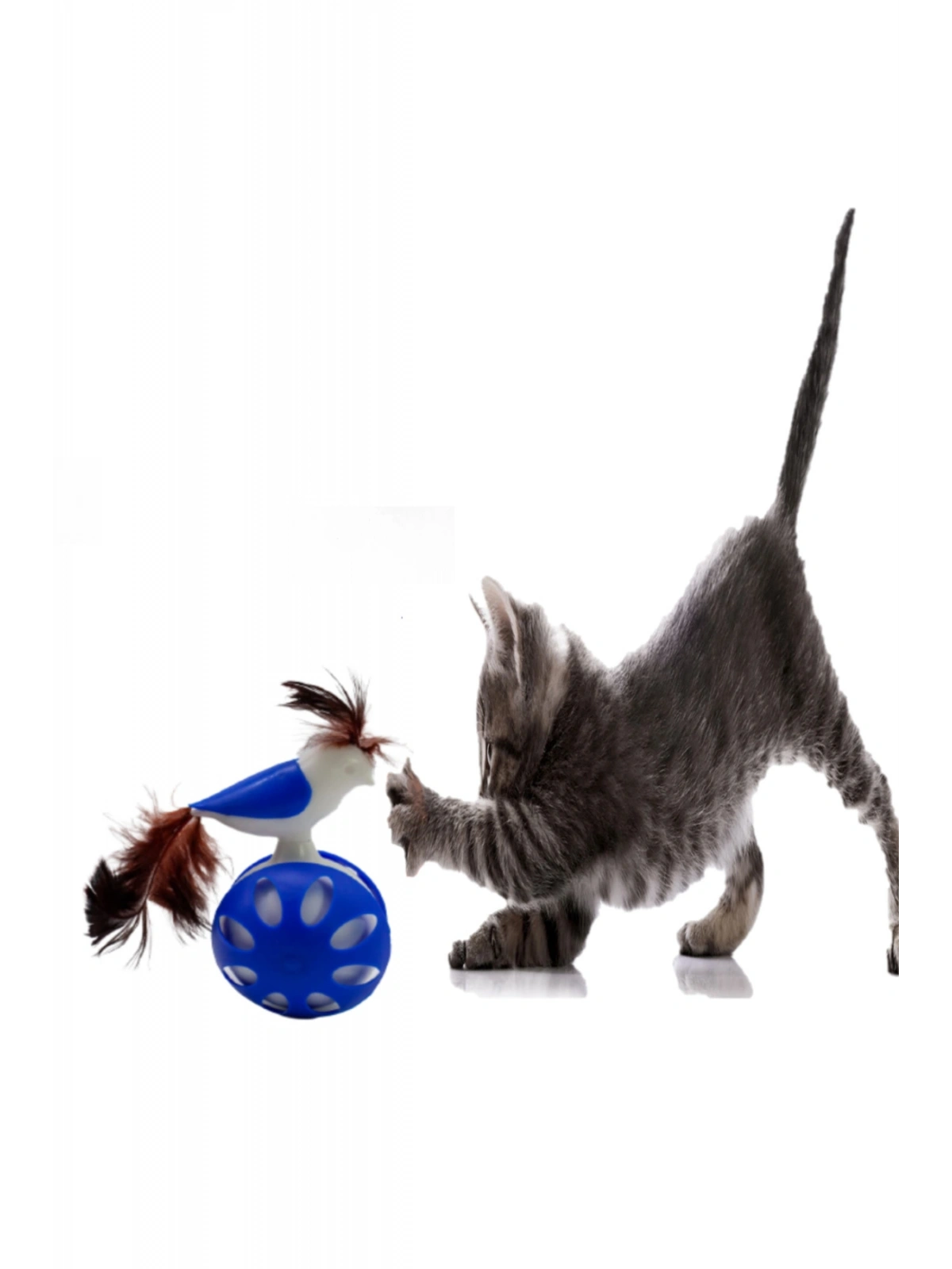 TEKERLEKLİ HACIYATMAZ KUŞ KEDİ OYUNCAĞI MAVİ 1 ADET