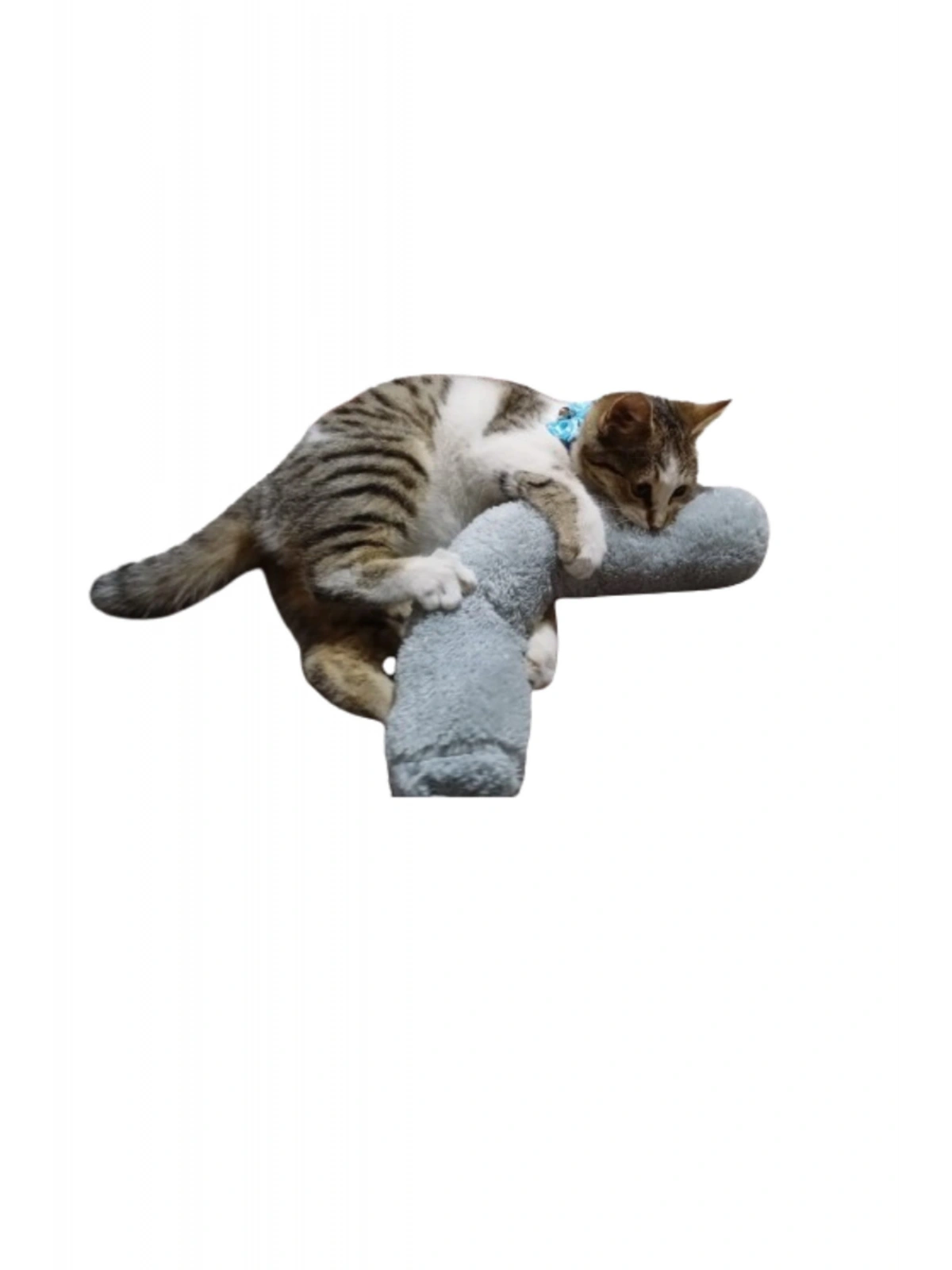 Kedi Oyuncağı Sarılma Yastığı Uyku Oyuncağı Kedi Otlu 30 Cm Peluş ( 1 Adet ) Gri