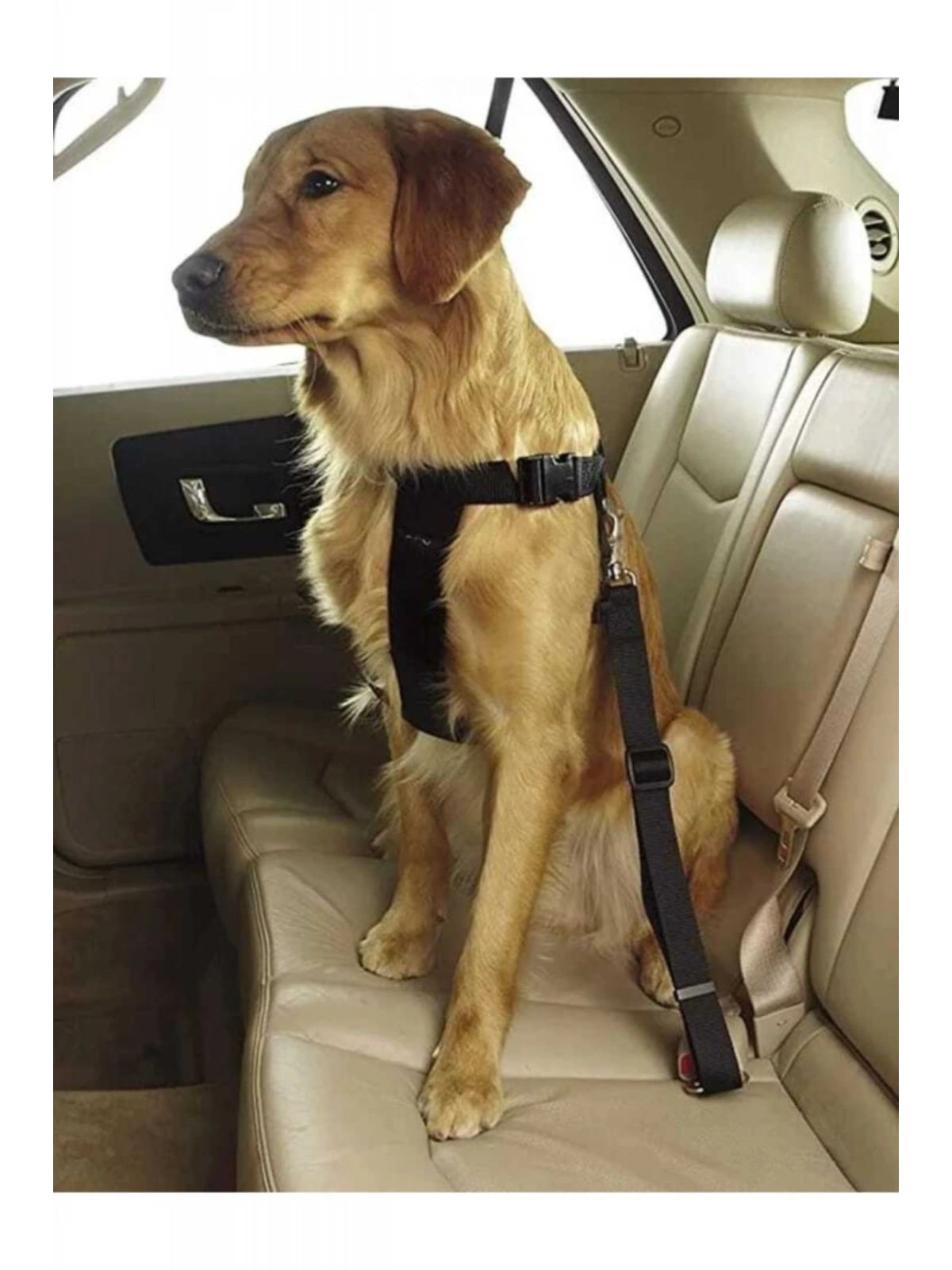 Evcil Hayvan Araç Emniyet Kemeri Kedi Köpek Araba Oto Tasması Oto Aksesuarları Siyah