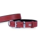 Doggie Kırmızı Köpek Boyun Tasması 2,5x37-45 Cm