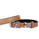 Doggie Sarı Patili Köpek Boyun Tasması 2X35-40 Cm