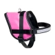 Flamingo Ayarlanabilir Köpek Göğüs Tasması 31-40cm/15mm (Pembe)