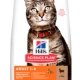 Hills Optimal Care Kuzu Etli Yetişkin Kedi Maması 10 Kg