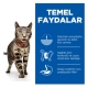 Hills Perfect Weight Kilo Kontrolü için Tavuklu Yetişkin Kedi Maması 2,5 Kg
