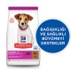 Hill’s Puppy Küçük Irk Kuzulu Yavru Köpek Maması 3 Kg