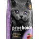 ProChoice 38 Kuzulu ve Pirinçli Düşük Tahıllı Yavru Kedi Maması 2 Kg