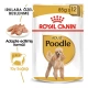 Royal Canin Adult Poodle Caniche Yetişkin Köpek Maması 85gr x 12 Lİ