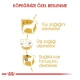 Royal Canin Adult Poodle Caniche Yetişkin Köpek Maması 85gr x 12 Lİ