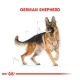 Royal Canin Alman Çoban Köpeği Yetişkin Köpek Maması 11 kg