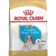 Royal Canin Bhn Cavalier King Charles Junıor Kuru Köpek Maması 1,5 Kg