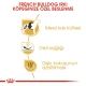 Royal Canin French Bulldog Yetişkin Köpek Maması 3 Kg