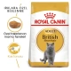 Royal Canin British Shorthair Yetişkin Kedi Maması 2kg