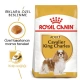 Royal Canin Cavalier King Charles Yetişkin Köpek Maması 1,5 kg