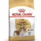 Royal Canin Cavalier King Charles Yetişkin Köpek Maması 1,5 kg