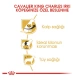 Royal Canin Cavalier King Charles Yetişkin Köpek Maması 1,5 kg