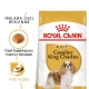 Royal Canin Cavalier King Charles Yetişkin Köpek Maması 3 kg
