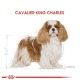 Royal Canin Cavalier King Charles Yetişkin Köpek Maması 3 kg
