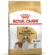 Royal Canin Cavalier King Charles Yetişkin Köpek Maması 3 kg