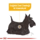Royal Canin CCN Mini Derma Köpek Maması 3 kg