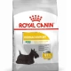 Royal Canin CCN Mini Derma Köpek Maması 3 kg