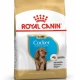 Royal Canin Cocker Junior Yavru Köpek Maması 3 Kg