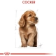 Royal Canin Cocker Junior Yavru Köpek Maması 3 Kg