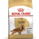 Royal Canin Cocker Spaniel  Yetişkin Köpek Maması 3kg