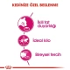 Royal Canin Exigent35/30 Yetişkin Kuru Kedi Maması 2 Kg