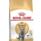 Royal Canin Fbn British Shorthair Bundle Kedi Kuru Maması 2 Kg