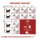 Royal Canin Fit 32 Yetişkin Kuru Kedi Maması 2 Kg