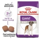 Royal Canin Giant Adult Yetişkin Kuru Köpek Maması 15 Kg