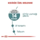 Royal Canin Hairball Tüy Yumağı Önleyici Yetişkin Kedi Maması 2 Kg
