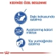 Royal Canin Indoor Yetişkin Kuru Kedi Maması 2 Kg