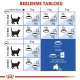 Royal Canin Indoor Yetişkin Kuru Kedi Maması 2 Kg