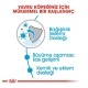 Royal Canin Junior Giant Dev Irk Yavru Köpek Maması 15 kg