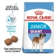 Royal Canin Junior Giant Dev Irk Yavru Köpek Maması 15 kg