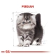 Royal Canin Kitten Persian Yavru Kedi Maması 2 kg