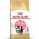 Royal Canin Kitten Persian Yavru Kedi Maması 2 kg