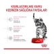 Royal Canin Kitten Sterilised Kısırlaştırılmış Yavru Kedi Maması 2 kg