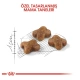 Royal Canin Kitten Yavru Kedi Maması 4 Kg