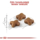 Royal Canin Kitten Yavru Kuru Kedi Maması 2 Kg