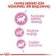Royal Canin Kitten Yavru Kuru Kedi Maması 2 Kg